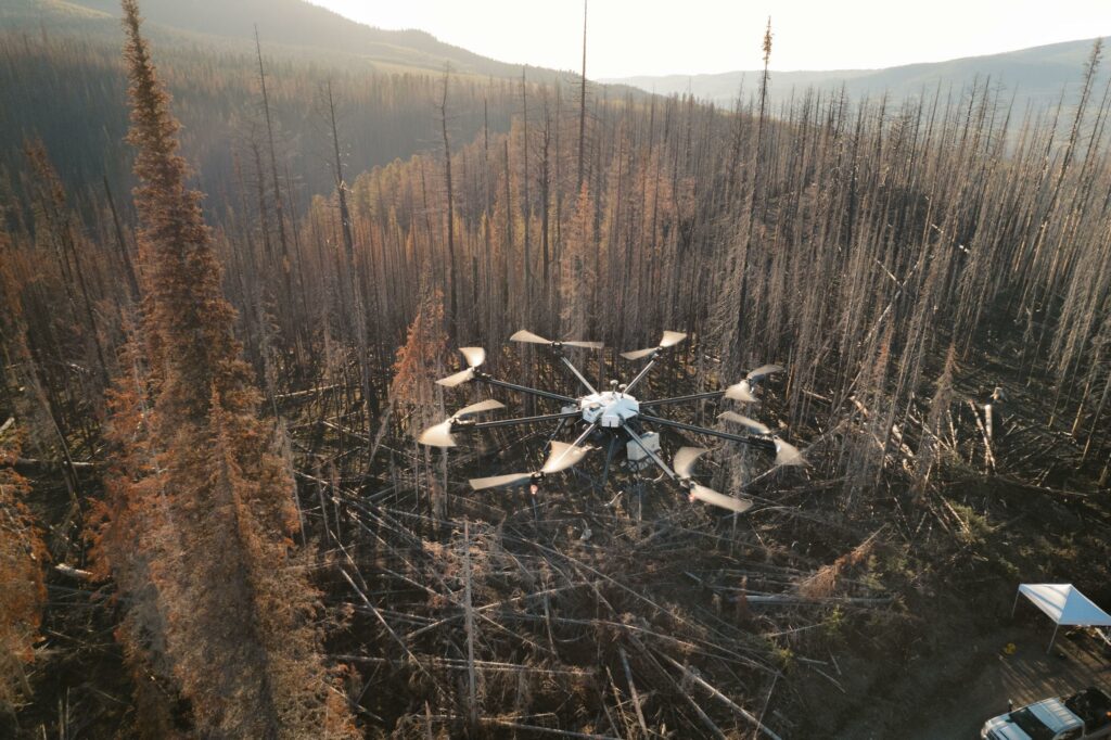 drone in air above burned forest