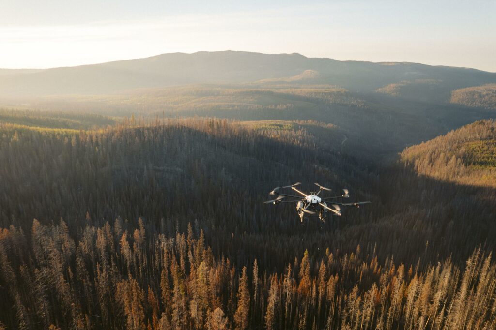 drone flying above burned forest