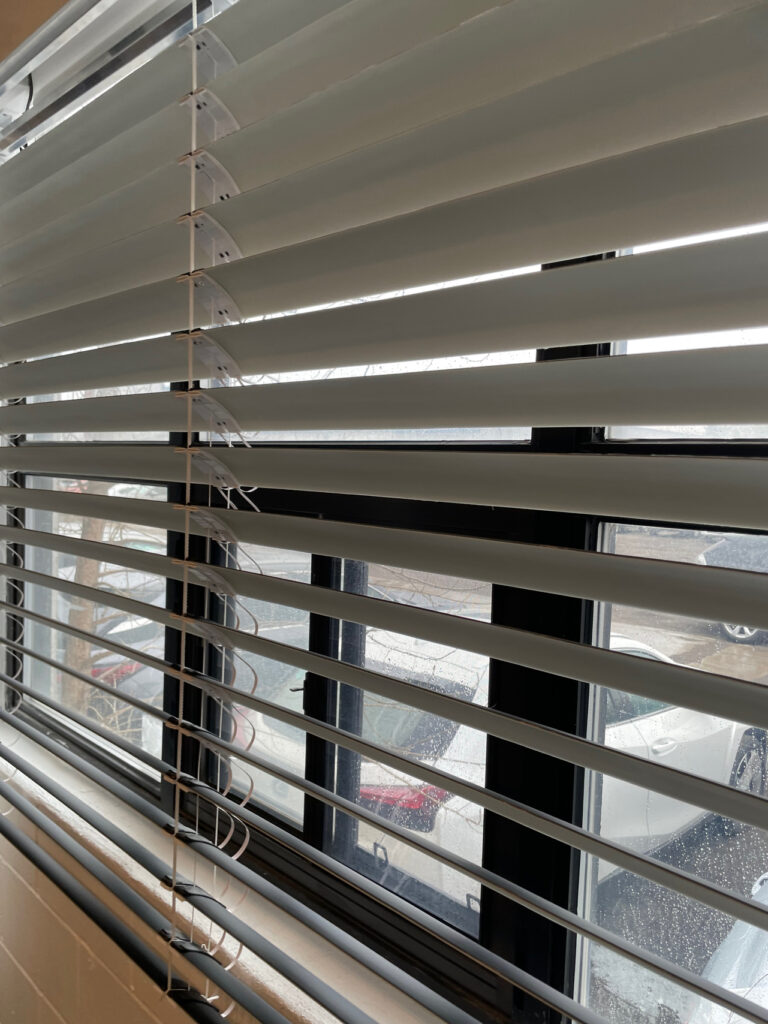 solar blinds in window